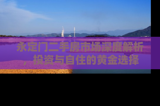 永定门二手房市场深度解析，投资与自住的黄金选择