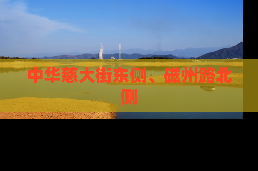 中华慈大街东侧、磁州路北侧