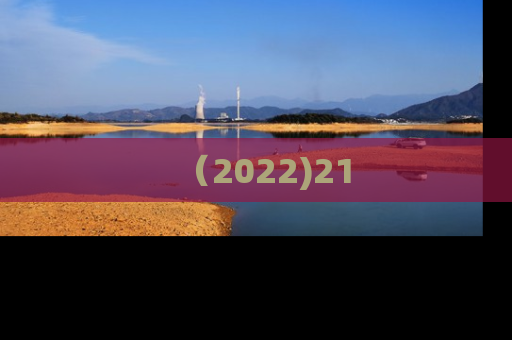 （2022)21
