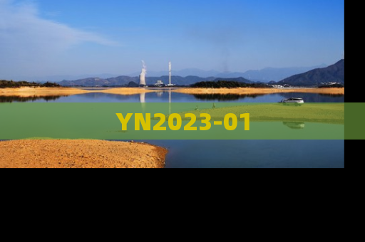 YN2023-01