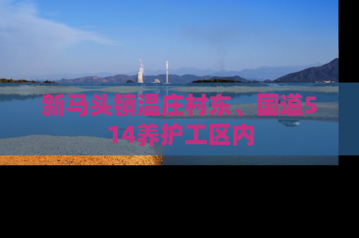 新马头镇温庄村东、国道514养护工区内