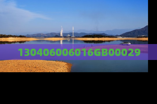 130406006016GB00029