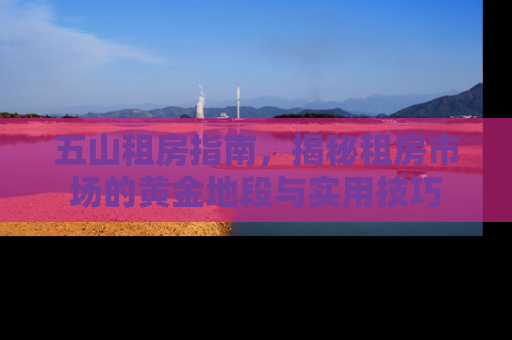 五山租房指南，揭秘租房市场的黄金地段与实用技巧