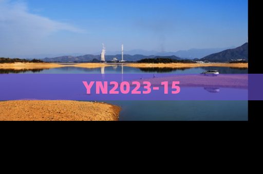 YN2023-15