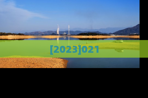 [2023]021
