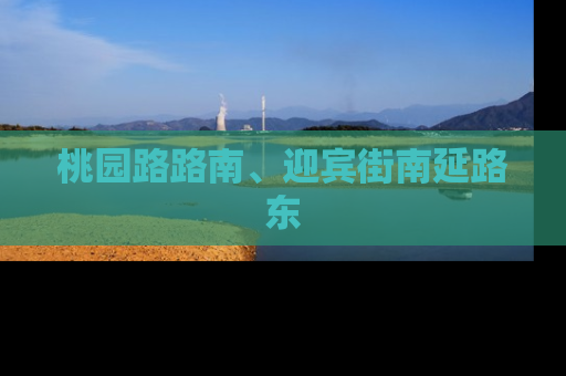 桃园路路南、迎宾街南延路东