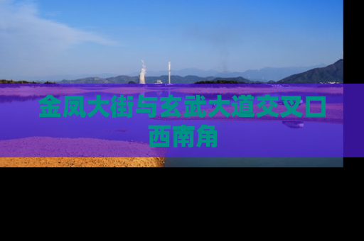 金凤大街与玄武大道交叉口西南角