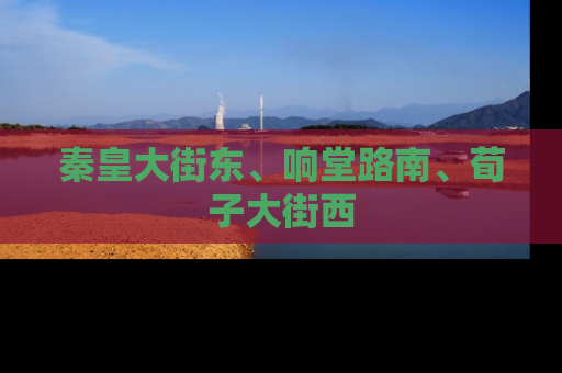 秦皇大街东、响堂路南、荀子大街西
