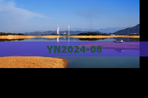 YN2024-08