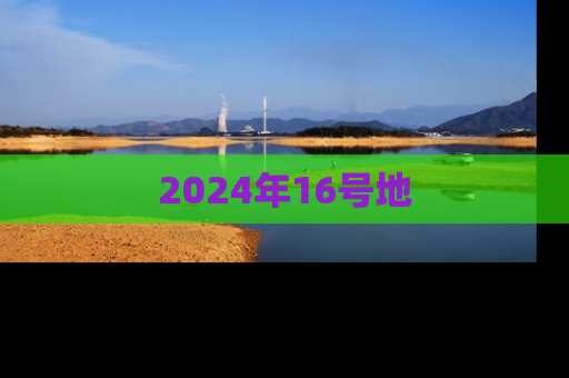 2024年16号地