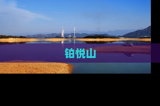 铂悦山