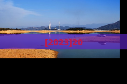 [2023]20