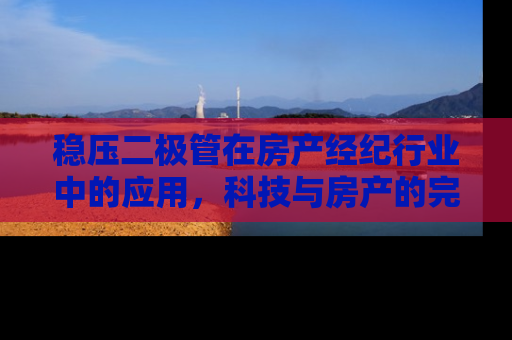 稳压二极管在房产经纪行业中的应用，科技与房产的完美融合