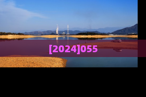 [2024]055