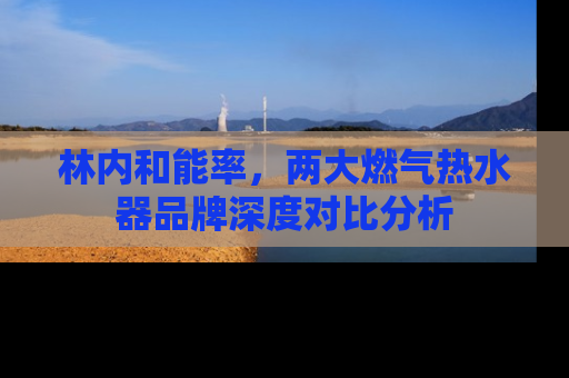 林内和能率，两大燃气热水器品牌深度对比分析