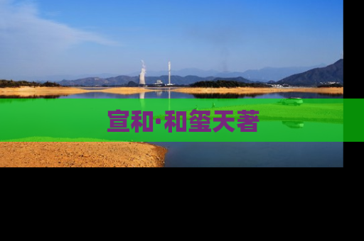宣和·和玺天著