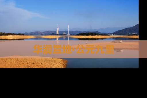 华润置地·公元九里