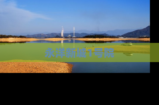 永洋新城1号院
