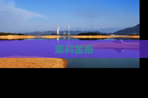 荣科金泰
