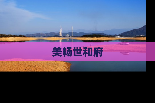 美畅世和府