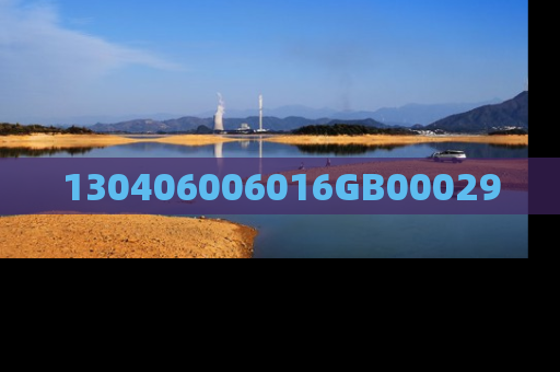 130406006016GB00029