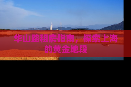 华山路租房指南，探索上海的黄金地段