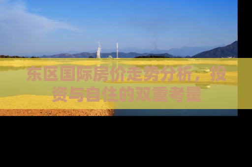 东区国际房价走势分析，投资与自住的双重考量