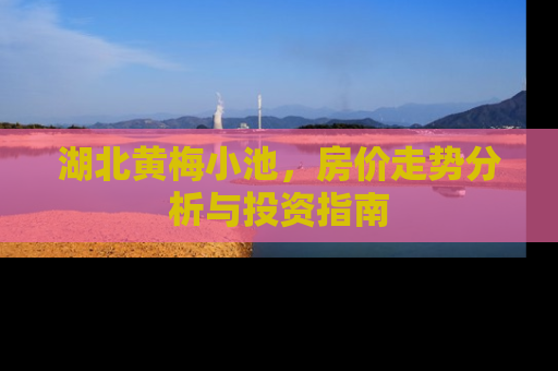 湖北黄梅小池，房价走势分析与投资指南