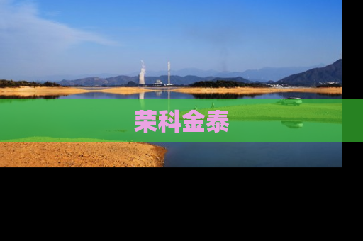 荣科金泰