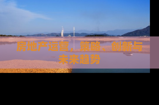 房地产运营，策略、创新与未来趋势