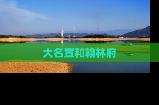 大名宣和翰林府