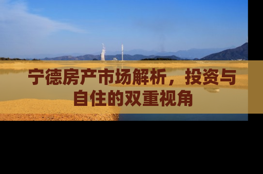 宁德房产市场解析，投资与自住的双重视角