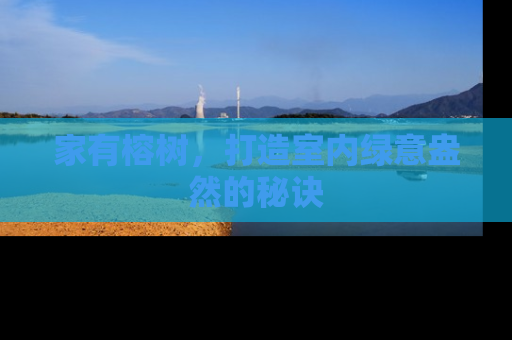 家有榕树，打造室内绿意盎然的秘诀