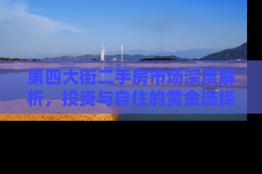 第四大街二手房市场深度解析，投资与自住的黄金选择