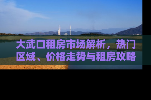 大武口租房市场解析，热门区域、价格走势与租房攻略