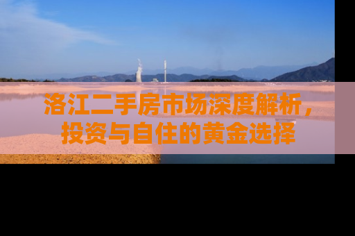 洛江二手房市场深度解析，投资与自住的黄金选择