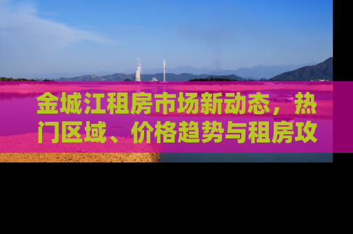 金城江租房市场新动态，热门区域、价格趋势与租房攻略