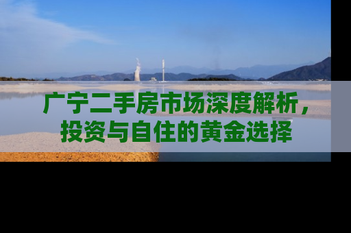 广宁二手房市场深度解析，投资与自住的黄金选择