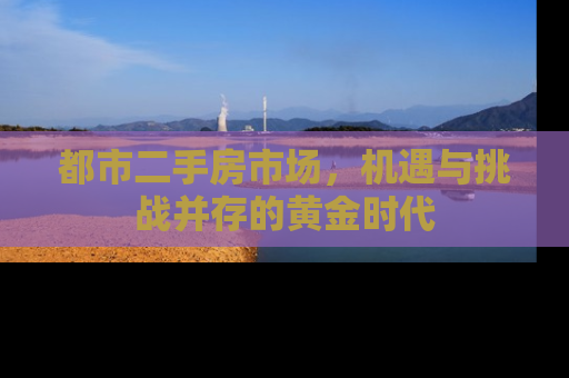 都市二手房市场，机遇与挑战并存的黄金时代