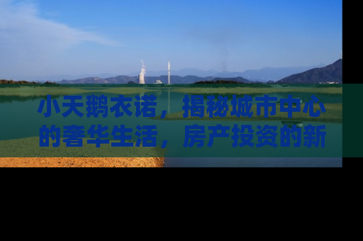 小天鹅衣诺，揭秘城市中心的奢华生活，房产投资的新宠儿