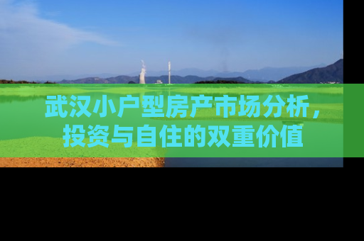 武汉小户型房产市场分析，投资与自住的双重价值
