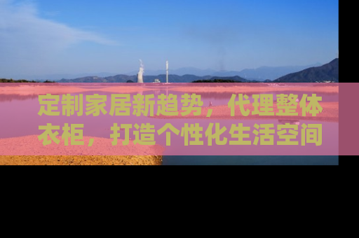 定制家居新趋势，代理整体衣柜，打造个性化生活空间