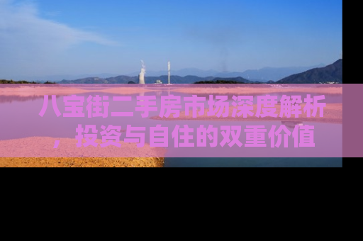 八宝街二手房市场深度解析，投资与自住的双重价值