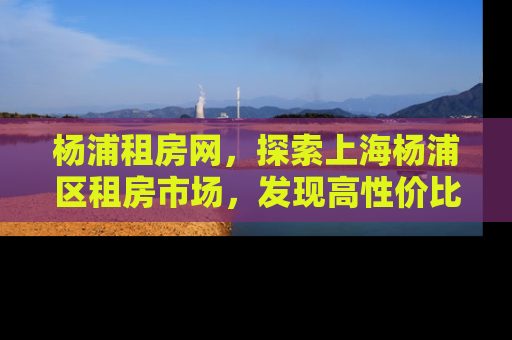 杨浦租房网，探索上海杨浦区租房市场，发现高性价比之选