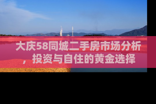 大庆58同城二手房市场分析，投资与自住的黄金选择