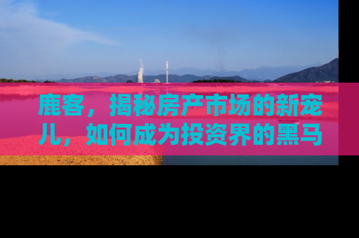 鹿客，揭秘房产市场的新宠儿，如何成为投资界的黑马