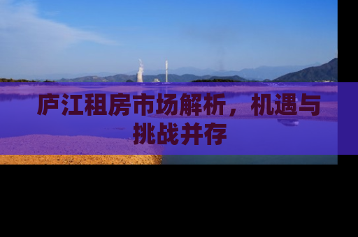 庐江租房市场解析，机遇与挑战并存