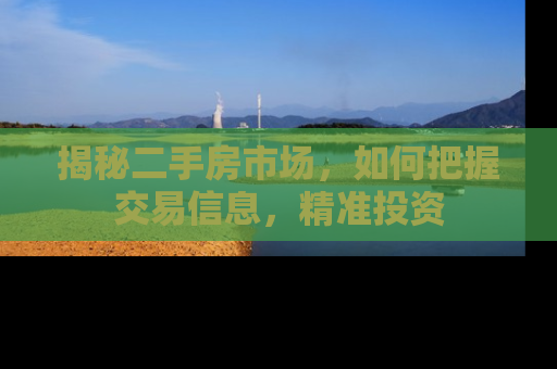 揭秘二手房市场，如何把握交易信息，精准投资