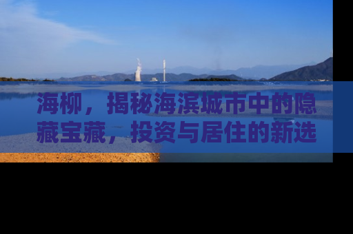 海柳,揭秘海滨城市中的隐藏宝藏,投资与居住的新选择 海柳,揭秘海滨城市中的隐藏宝藏,投资与居住的新选择
