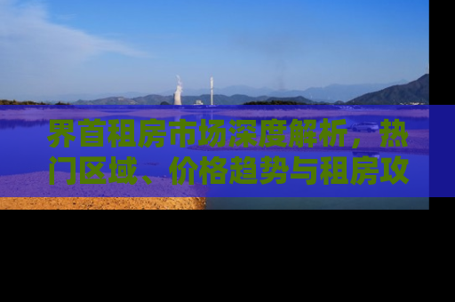 界首租房市场深度解析，热门区域、价格趋势与租房攻略